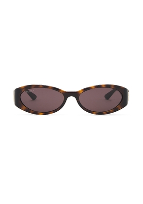 Gucci Hailey Oval Sunglasses in Havana - Brown. Size all.