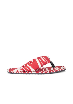 THE ATTICO Zebra Printed Indie Flat Thong Sandal in Red & Milk - Red. Size 36 (also in 37, 39.5, 40, 41).