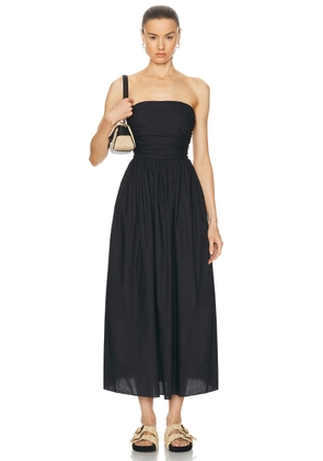 Matteau Strapless Lace Up Dress in Black - Black. Size 2 (also in 3, 4, 5).