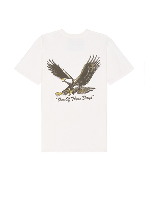 ONE OF THESE DAYS Screaming Eagle Tee in Bone - Cream. Size M (also in ).