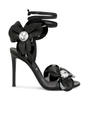 AREA Flower Lace Up Sandal in Tea Nero - Black. Size 41 (also in ).