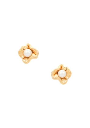 Completedworks 18k Gold Plated & Freshwater Pearl Earring in 18k Gold Plate - Metallic Gold. Size all.