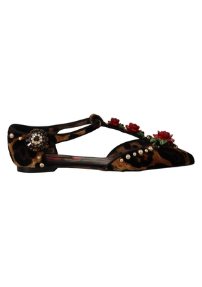 Dolce & Gabbana Brown Ballerina Embellished Leopard Print Shoes - EU35/US4.5