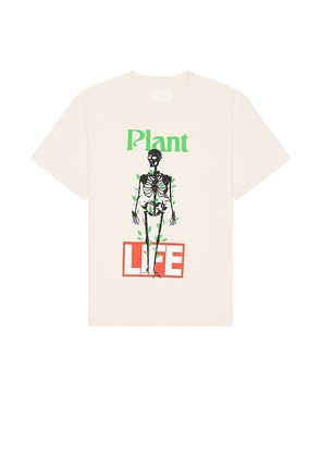 CRTFD Plant Life Tee in Brown. Size M.