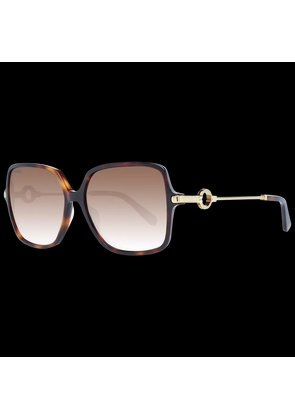 Omega Brown Women Sunglasses