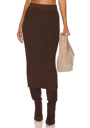 AYNI Kuychi Skirt in Chocolate. Size M, S, XS.