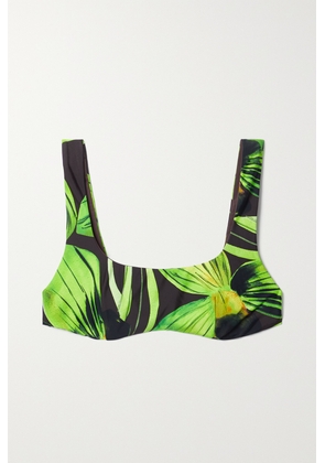 Louisa Ballou - Printed Stretch Bikini Top - Green - x small,small,medium,large,x large