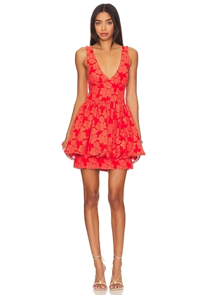 Aureta. Leighton Mini Dress in Orange. Size M, S, XL, XS.