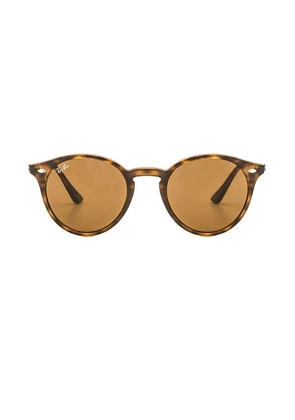 Ray-Ban Round Classic in Brown.