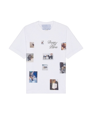 Jungles Dogs Of Paris Tee in White. Size M, XL/1X.