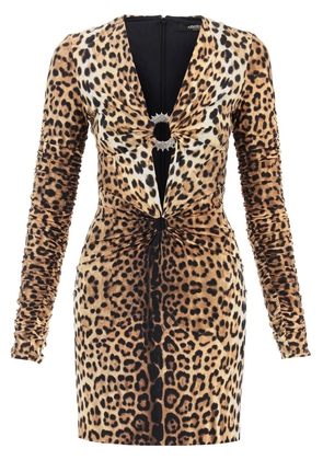 Roberto Cavalli Mini Dress With Leopard Print And Cut-Out
