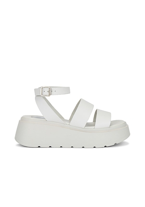 Steve Madden Tenysi Sandal in White. Size 9.