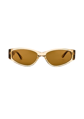 Wonderland Norco Sunglasses in Brown.