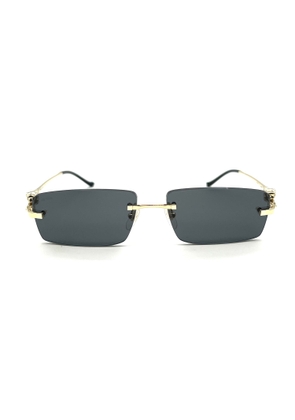 Cartier Eyewear Ct0430S Sunglasses