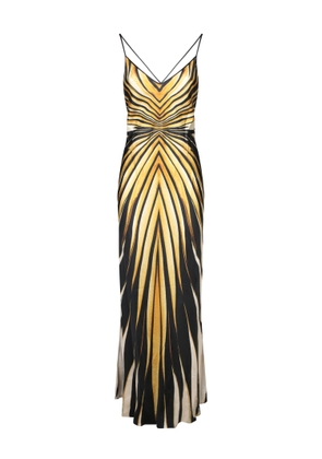 Roberto Cavalli Ray Of Gold Long Gold Dress