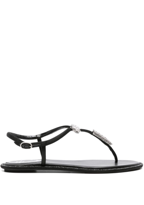 René Caovilla Katy crystal-embellished sandals - Black