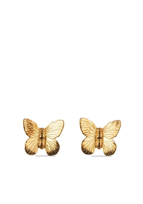 Jennifer Behr Prim butterfly earrings - Gold