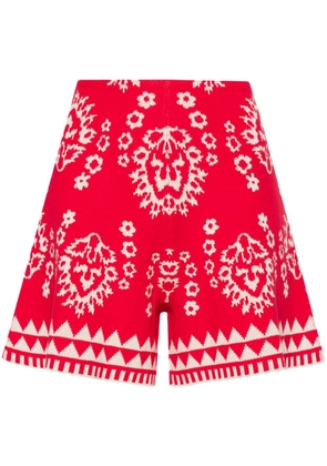 LIU JO intarsia-knit shorts - Red
