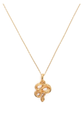 Alighieri The Medusa pendant necklace - Gold