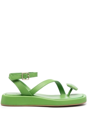 GIABORGHINI buckle-fastening open-toe sandals - Green