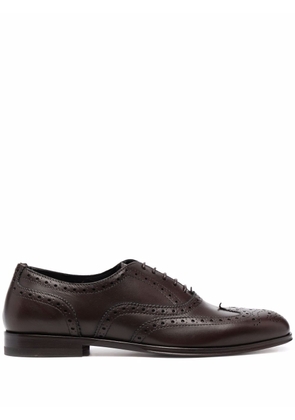Scarosso Judy lace-up leather brogues - Brown
