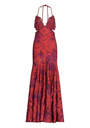 Silvia Tcherassi Cara floral-embroidered dress