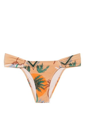 Raquel Diniz palm-tree-print bikini bottom - Brown