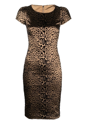 Dolce & Gabbana Pre-Owned 2000s leopard-print velvet dress - Brown