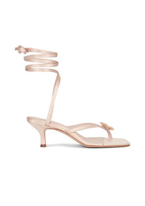 Helsa Kitten Lace Up in Nude - Nude. Size 37.5 (also in ).