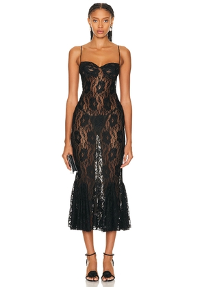 Mirror Palais Black Rose Lady Length Dress in Black Lace - Black. Size S (also in ).