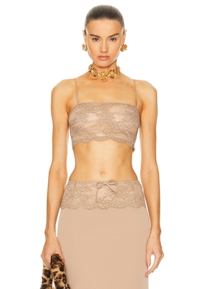 Blumarine Lace Cropped Camisole Top in Amphora - Taupe. Size 40 (also in 42).
