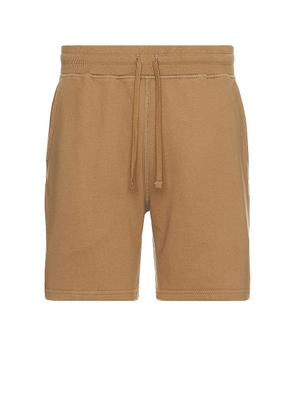 Reigning Champ Midweight Terry Sweatshort 6 in Clary - Brown. Size XL/1X (also in ).