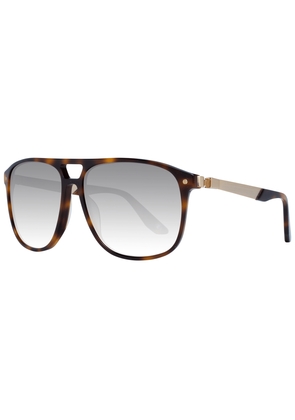 BMW Brown Men Sunglasses