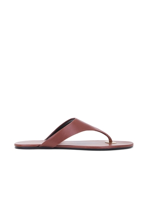 Saint Laurent Kouros Flat Sandal in Aesthetic Brown - Brown. Size 38 (also in 39, 40).