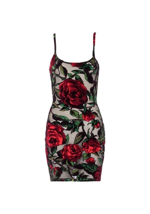 Balmain Burnout Velvet Rose Mini Dress