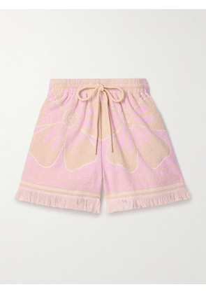 Zimmermann - Pop Frayed Cotton-terry Jacquard Shorts - Pink - 00,0,1,2,3,4