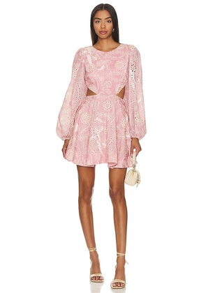 Bardot Mila Broderie Mini Dress in Blush. Size 8.