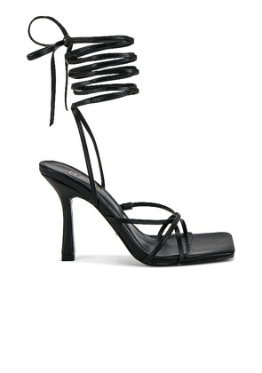 RAYE Lo Heel in Black. Size 8.
