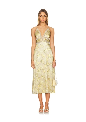 CAMI NYC Roya Dress in Yellow. Size 00, 10, 12, 2, 4, 6, 8.