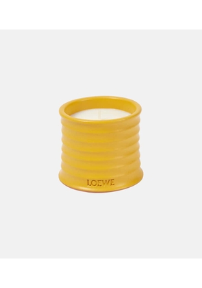 Loewe Home Scents Wasabi Small scented candle