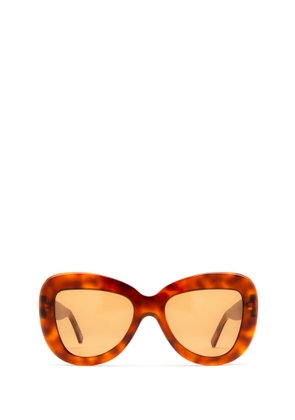 Marni Eyewear Elephant Island Havana Sunglasses