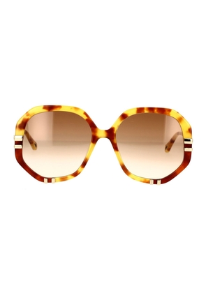 Chloé Havana/brown West Sunglasses