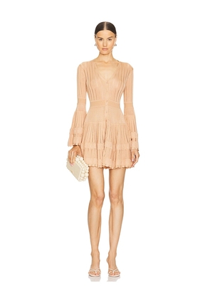 Alexis Lolie Dress in Blush. Size S, XS.