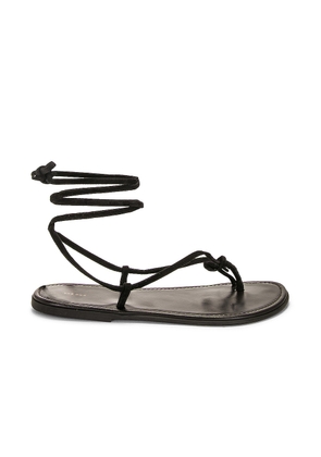 The Row Knot Flat Sandal in Dark Brown - Chocolate. Size 38 (also in ).