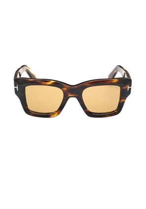 TOM FORD Ilias Sunglasses in Shiny Honey  Striped Brown  & Amber - Brown. Size all.