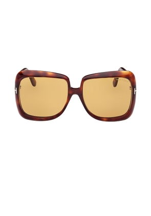 TOM FORD Lorelai Sunglasses in Shiny Vintage Havana & Amber - Brown. Size all.