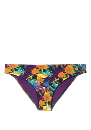 Marlies Dekkers Acapulco floral-print bikini bottoms - Purple