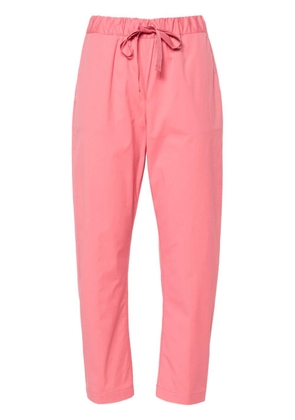 Semicouture Buddy poplin tapered trousers - Pink