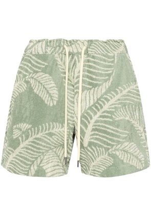 OAS Company Banana Leaf terry-cloth shorts - Green