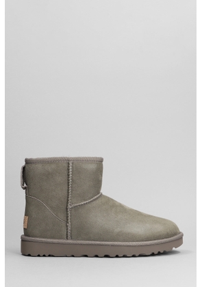 UGG Classic Mini Ii Low Heels Ankle Boots In Grey Suede
